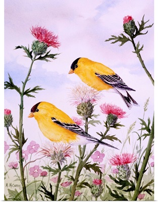 Goldfinch And Thistle