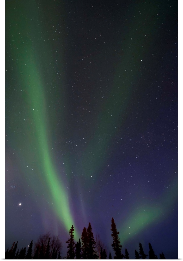 Northern lights (aurora borealis) over the Midnight Dome, Dawson City, Canada