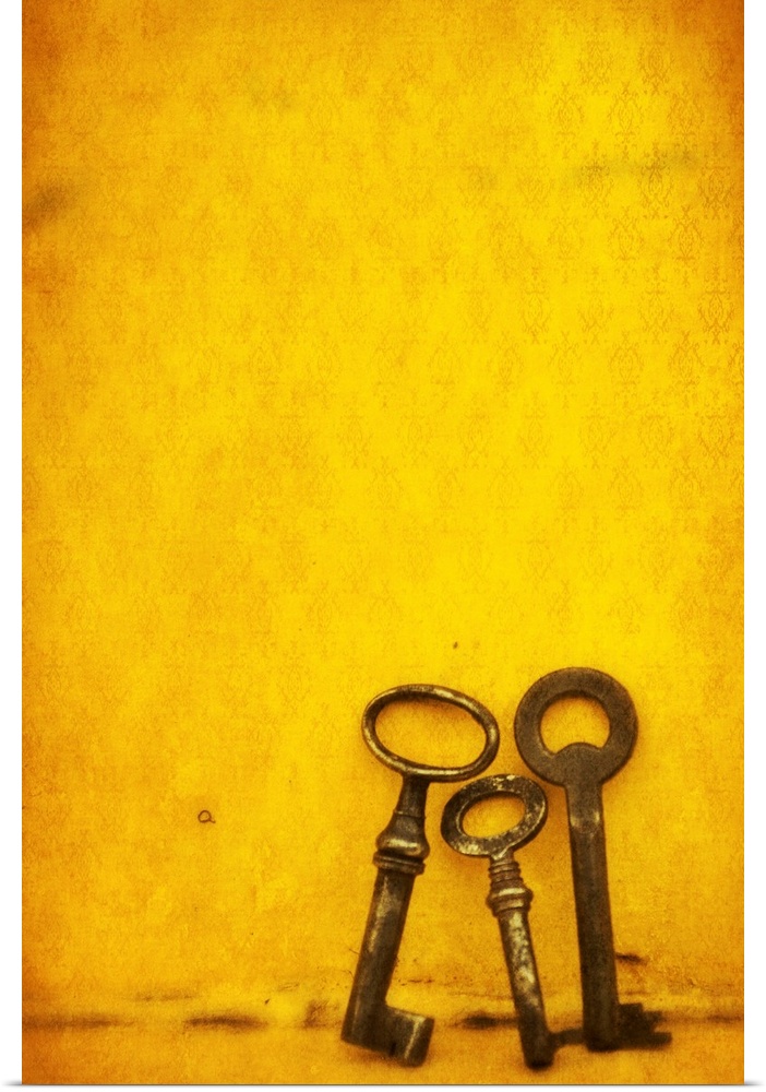 Vertical fine art photograph on a big canvas of three different vintage keys, resting upright together against a vibrant g...