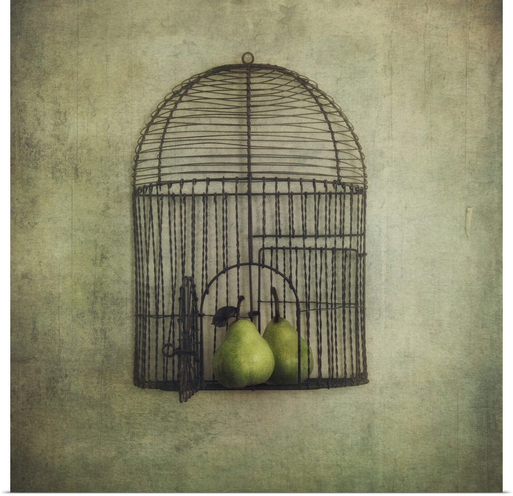 An artistic photograph of a birdcage with an open door with pears siting inside it.
