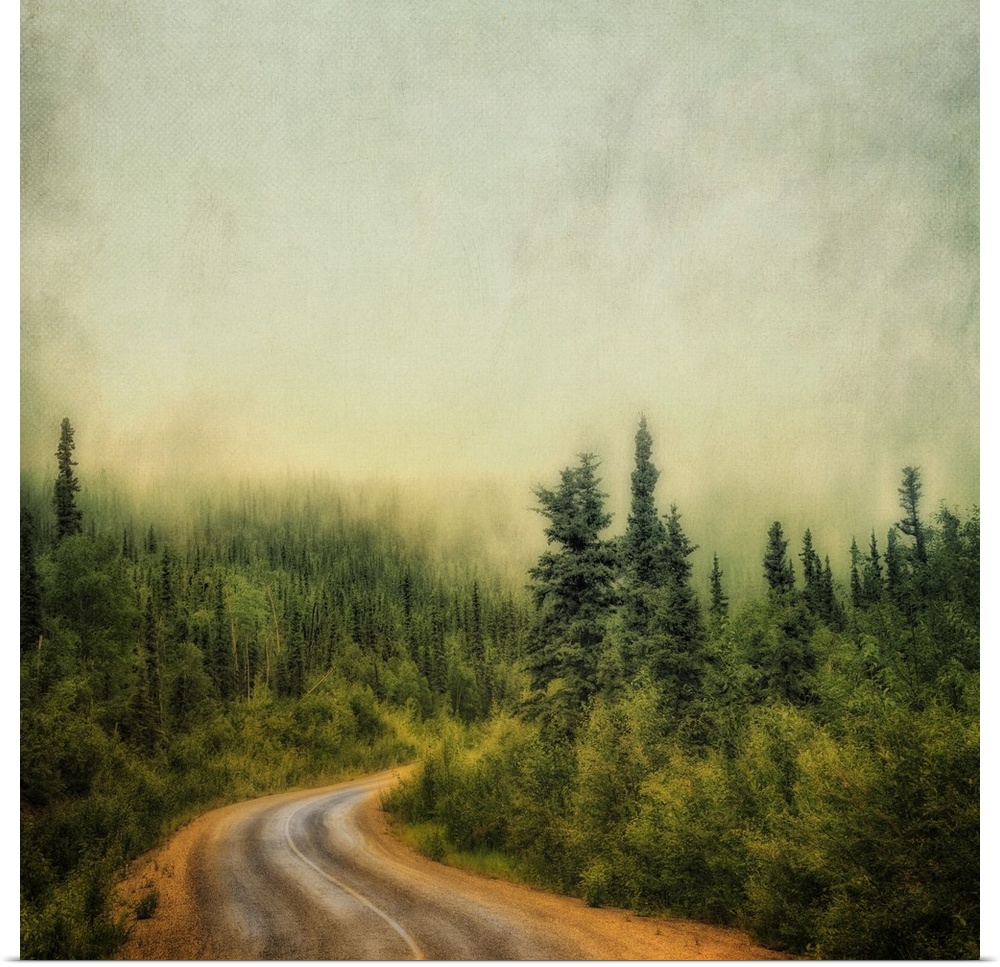 An artistic photograph of a misty foggy view of a forest road.