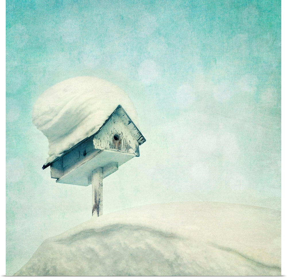 A birdhouse on a roof, snowcovered.  The term snowbird is used to describe people from the U.S. Northeast, U.S. Midwest, o...