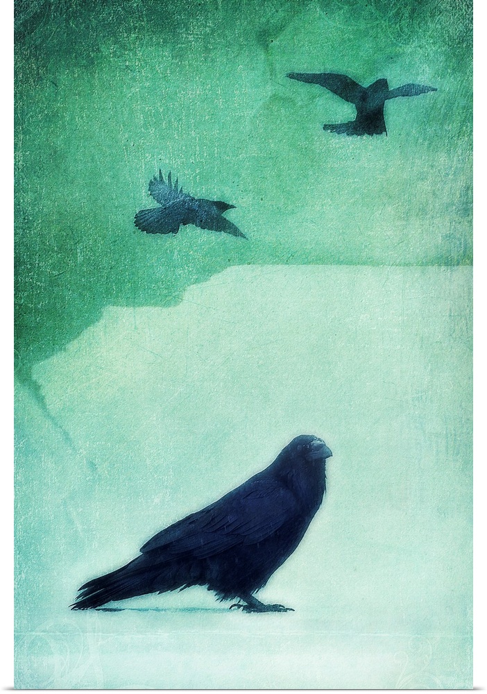 Spirit Bird (Raven)