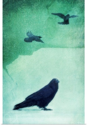Spirit Bird (Raven)
