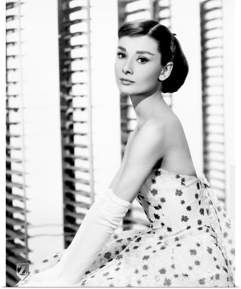 Big, vertical photograph of a side view of Audrey Hepburn sitting in a floral dress and long, white gloves, as she looks t...
