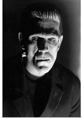 Boris Karloff B&W Bride of Frankenstein 2