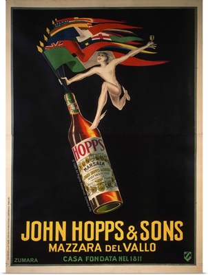 John Hopps & Sons