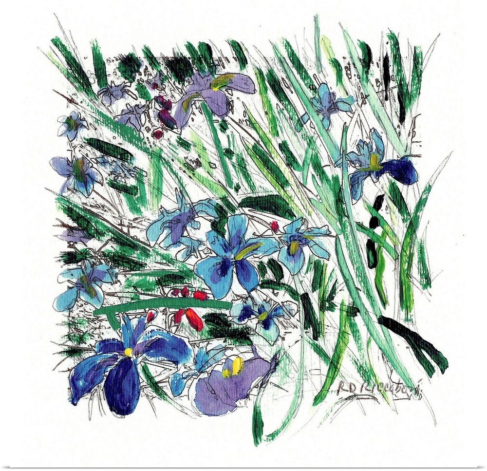 Blue Iris In the Garden at Balboa Park, painting by RD Riccoboni.