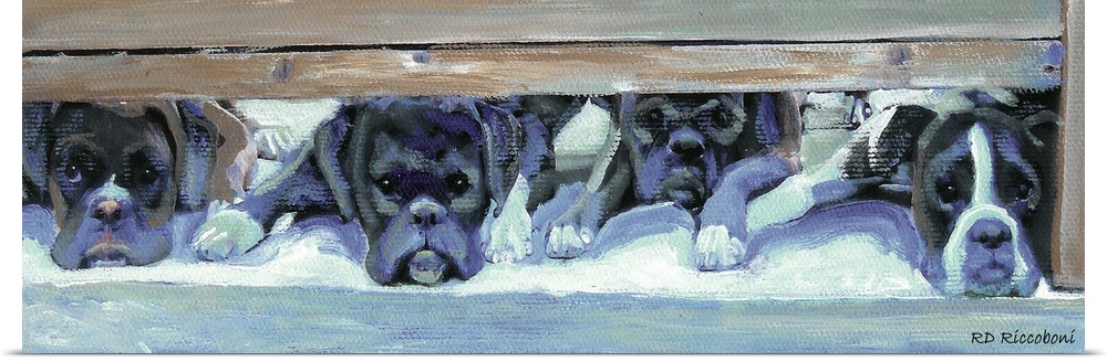 Panoramic painting in cool tones of four boxers laying underneath a bed waiting to be called out.