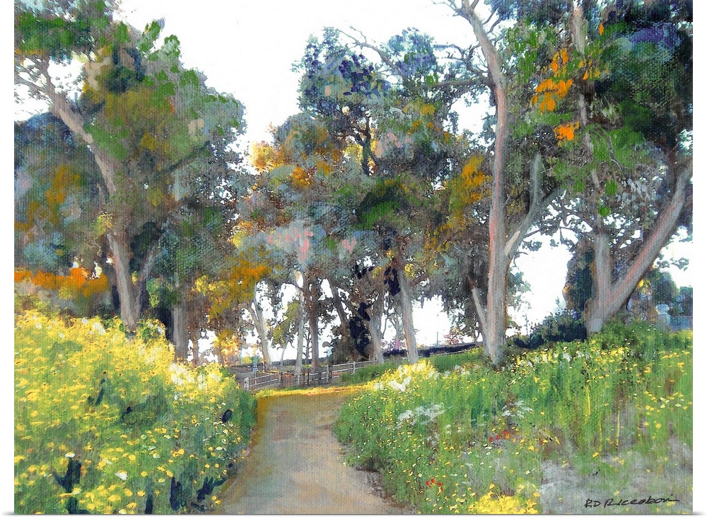 Meadow in cabrillo canyon, Balboa Park, San Diego, California by RD Riccoboni.