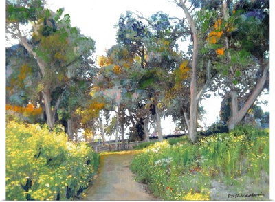 Meadow in Balboa Park
