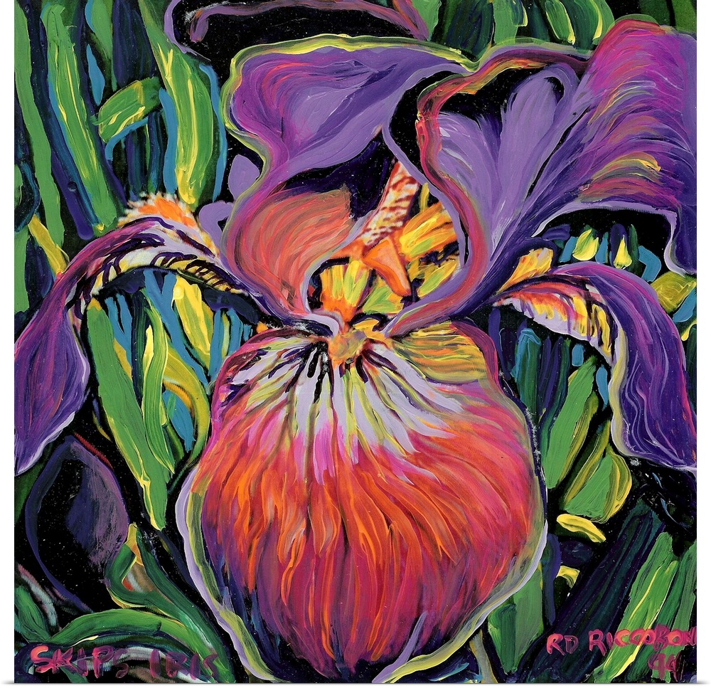 Purple Iris, botanical painting by artist RD Riccoboni, in purples, greens, pinks, yellows and blues. Where will you put t...