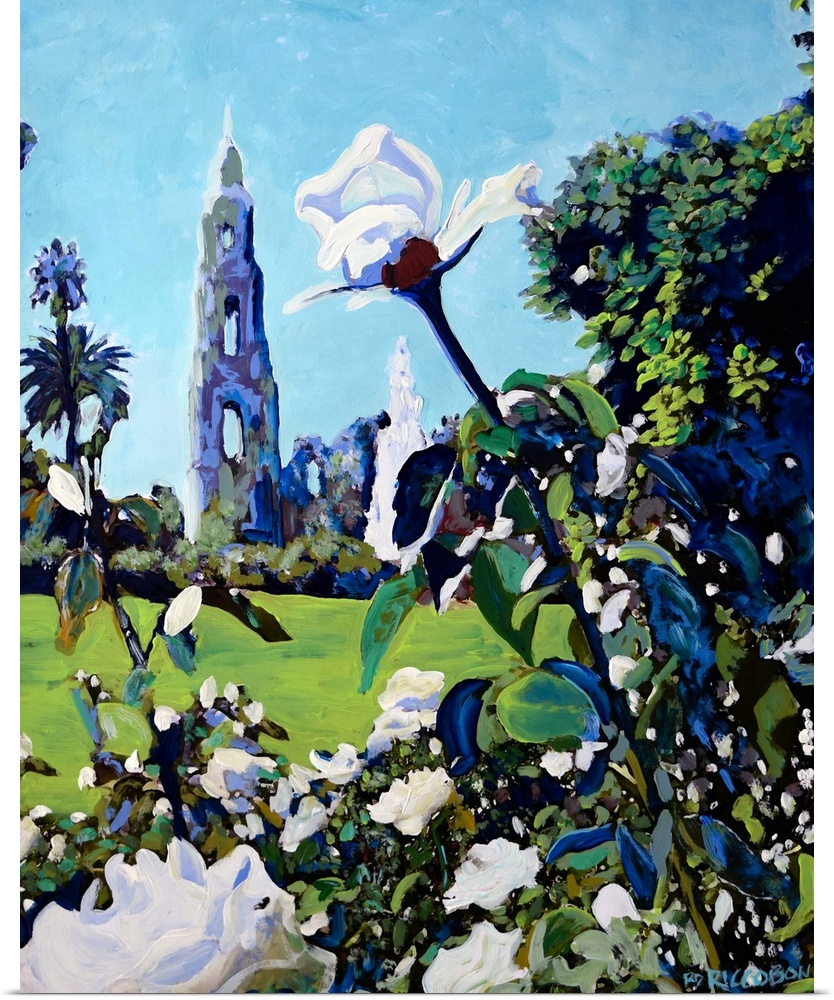 Rose Garden at Balboa Park, painting by RD Riccoboni.  White roses in the foreground with the California Building Tower do...