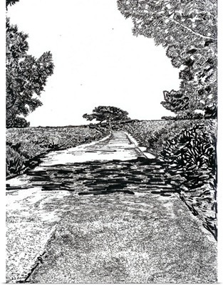 The road at Torrey Pines Reserve