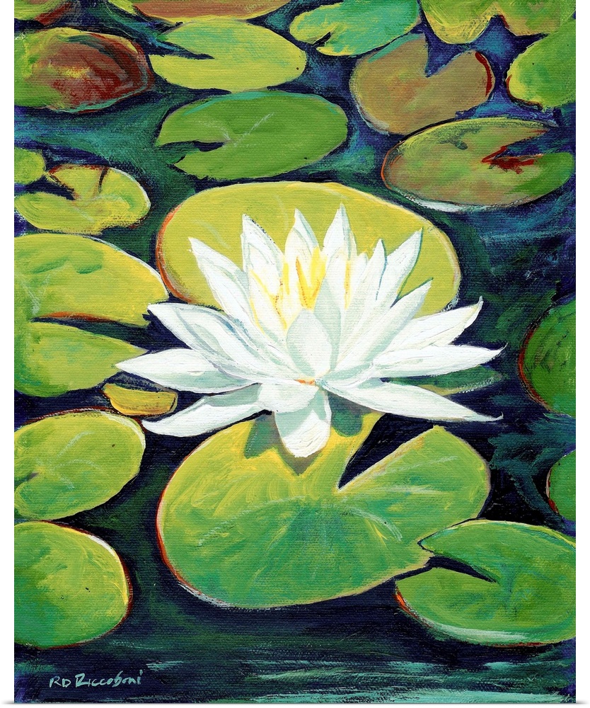 Painting of a serene scene of a water lily blossom in the reflecting pool koi pond near the botanical building in the worl...