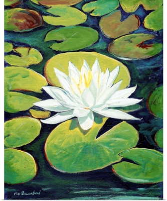 Water Lily Flower painting by