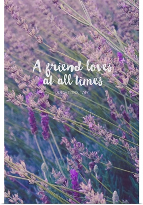 A Friend Loves At All Times - Scripture