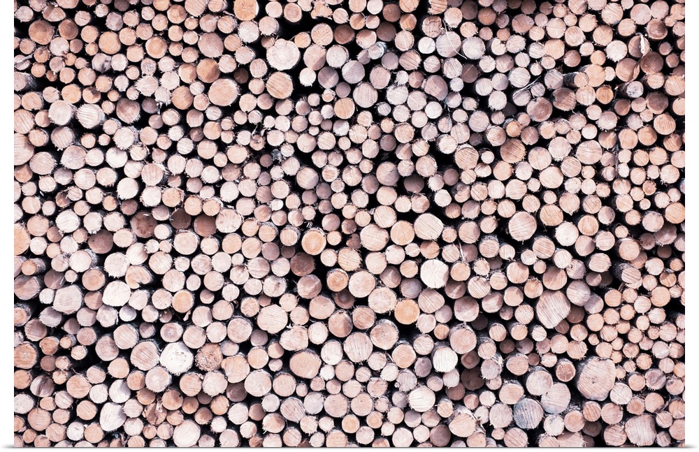 Aerial view of stacked logs in Banff National Park, Alberta, Canada.
