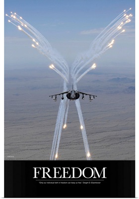 Air Force Poster: Freedom Can Keep Us Free