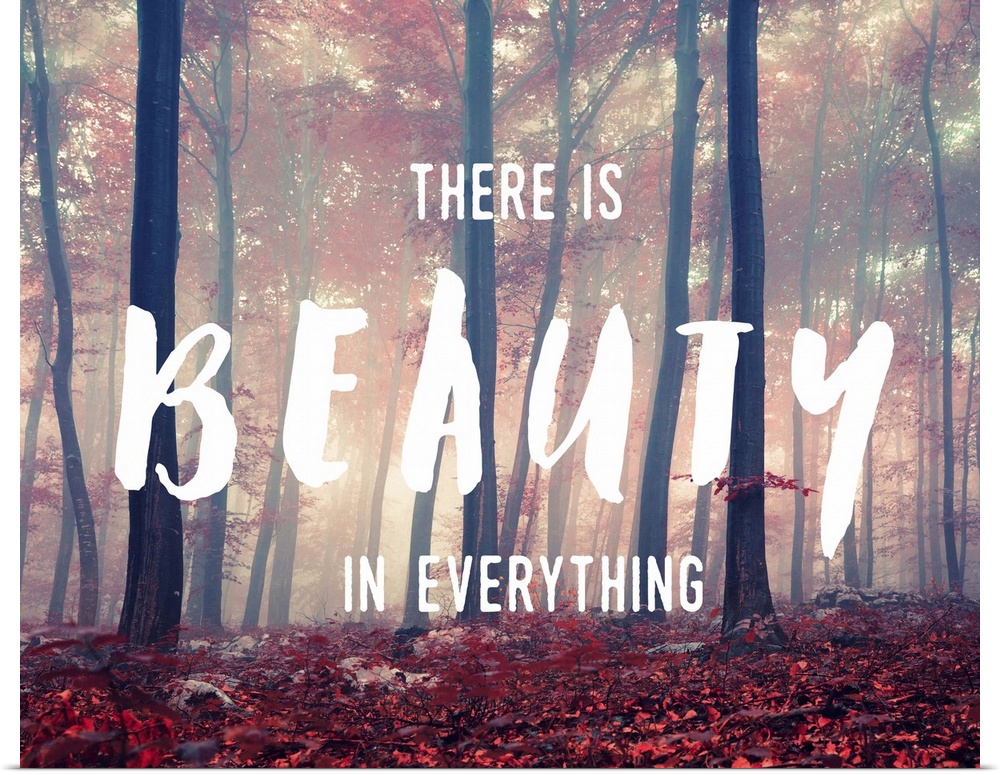 "There is Beauty in Everything" handwritten over an image of a foggy forest glowing with sunlight.