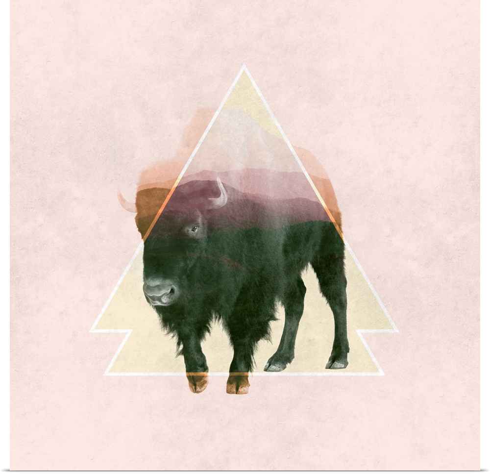 Double exposure artwork of a large bison and triangular shapes.