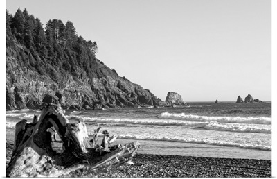 Black and White Landscape at La Push Beach, Washington