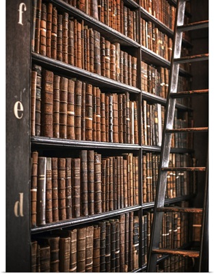 Book Shelves and Ladder, Trinity College Library, Dublin, Ireland, UK - Vertical
