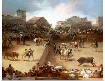 Bullfight in a Divided Ring