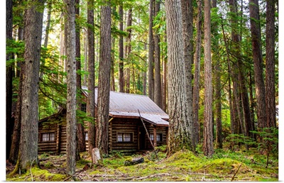 Cabin In The Woods, Mount Rainier National Park, Washington