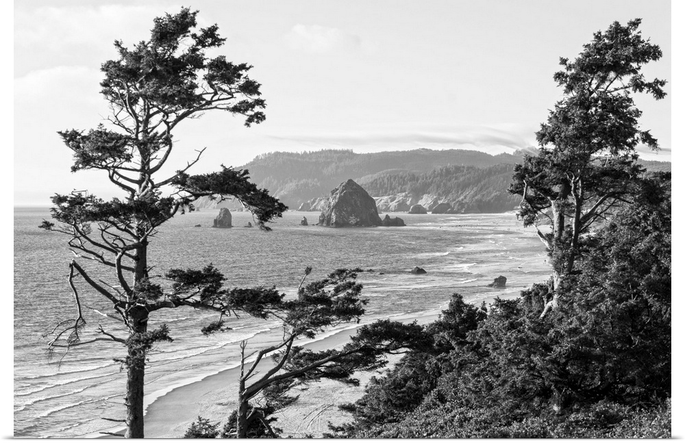 Black and white landscape photograph of Cannon Beach through the trees with Haystack Rock in the distance, Oregon Coast