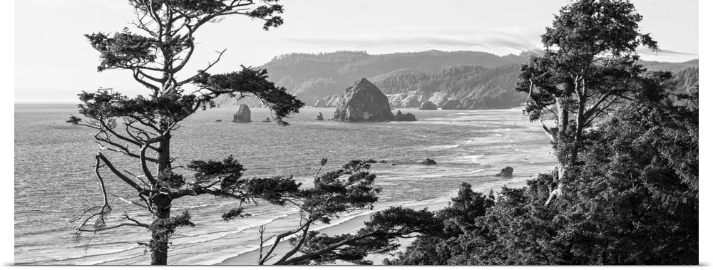 Black and white panoramic landscape photograph of Cannon Beach through the trees with Haystack Rock in the distance, Orego...