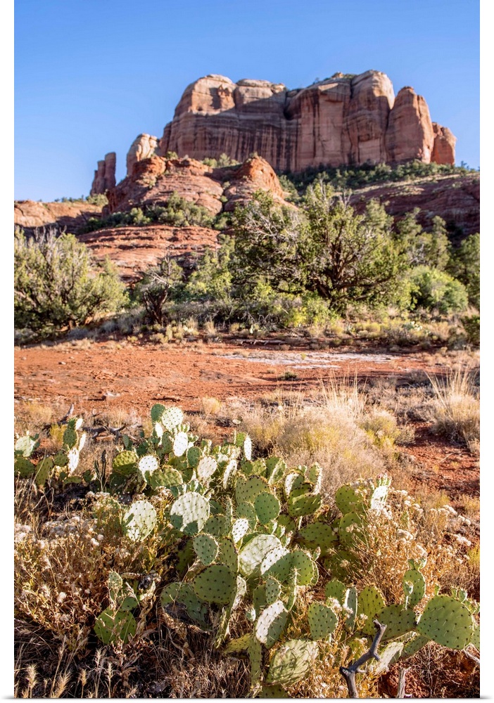 Cathedral Rock in Sedona, Arizona.