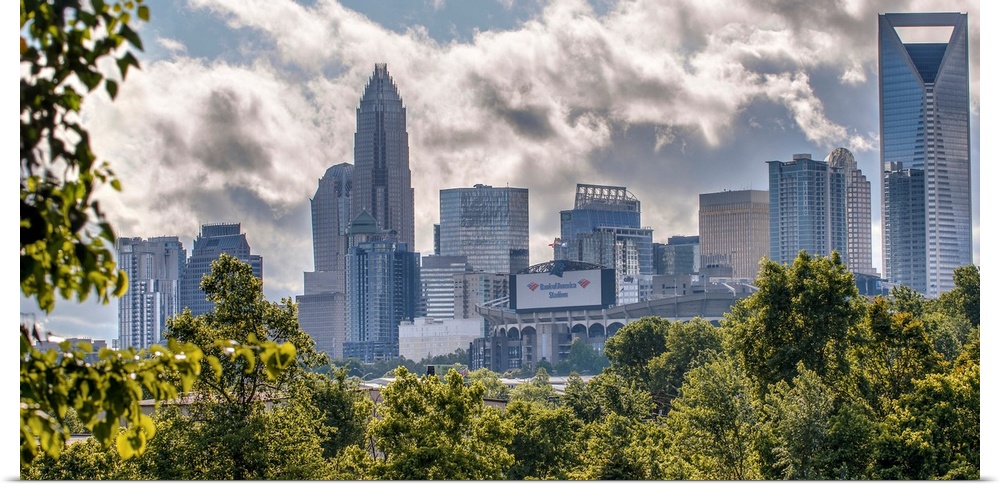 A forest of trees in the foreground of the Charlotte North Carolina city skyline.