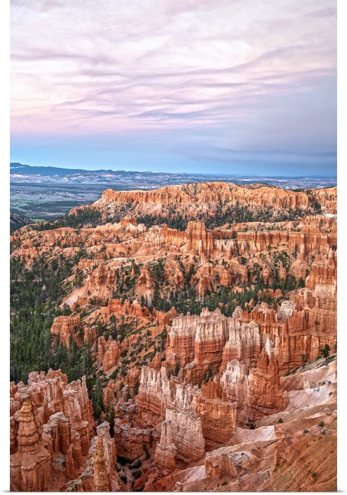 Striped orange and white hoodoos and green pine trees under a pastel colored sky in Bryce Canyon Amphitheater, Bryce Canyo...