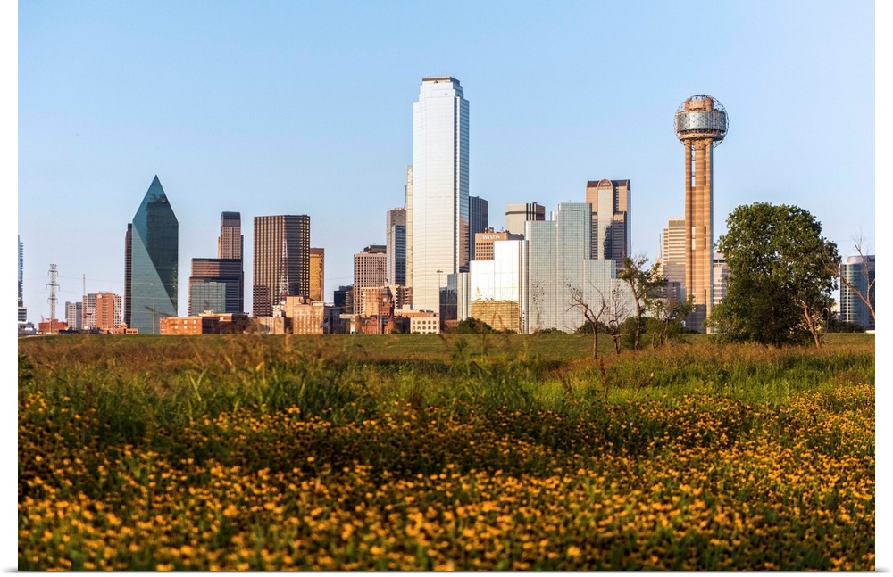 A field of wild flowers in the foreground of the Dallas Texas skyline.
