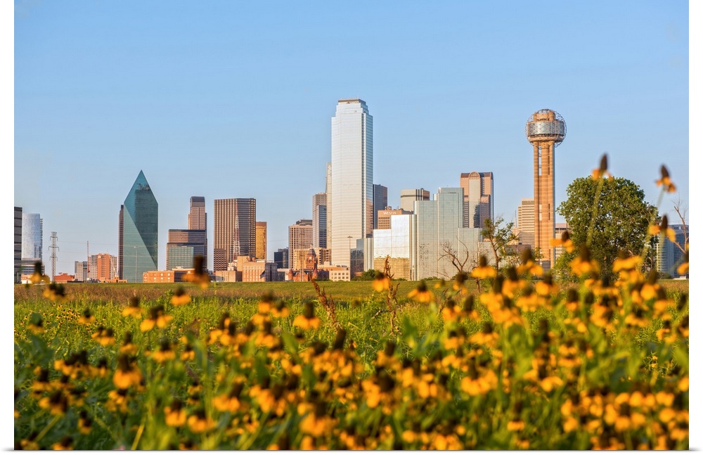 A field of wild flowers in the foreground of the Dallas Texas skyline.