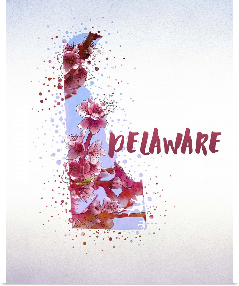 Outline of the state of Delaware filled with its state flower, the Peach Blossom.