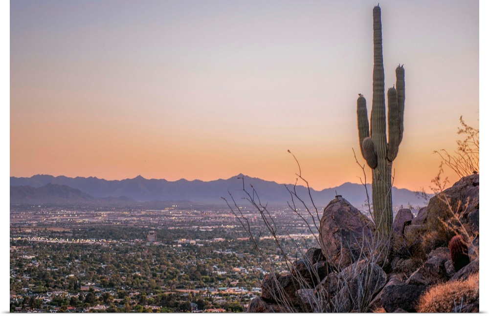 Distant View Of Phoenix with a Saguaro Cactus, Arizona.