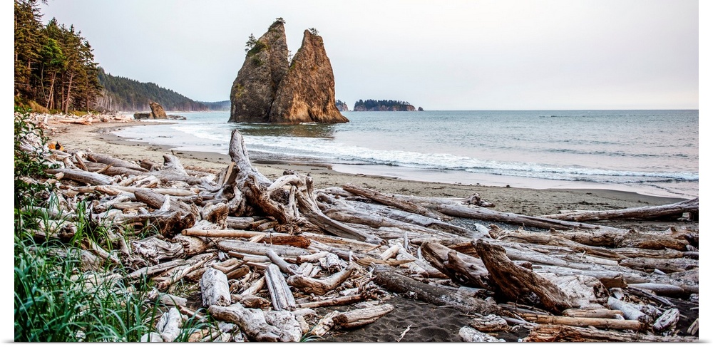 A pile of driftwood clusters at Rialto Beach near Olympic National Park, Washington.