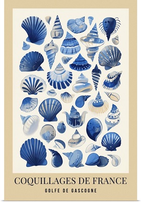 Exhibition Poster - French Sea Shells Light
