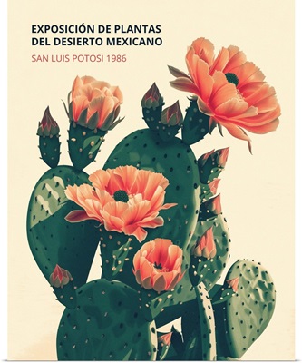 Exhibition Poster - Mexican Desert Plants