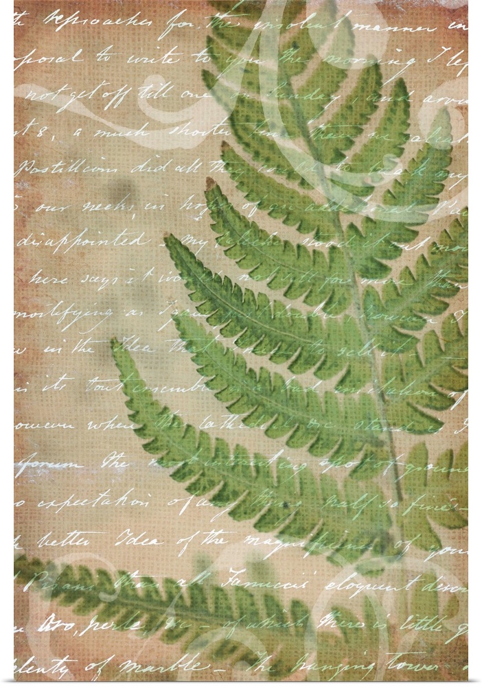 Vintage style artwork of a fern frond  with white handwritten text.