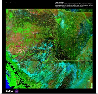 Florida Everglades - USGS Earth as Art
