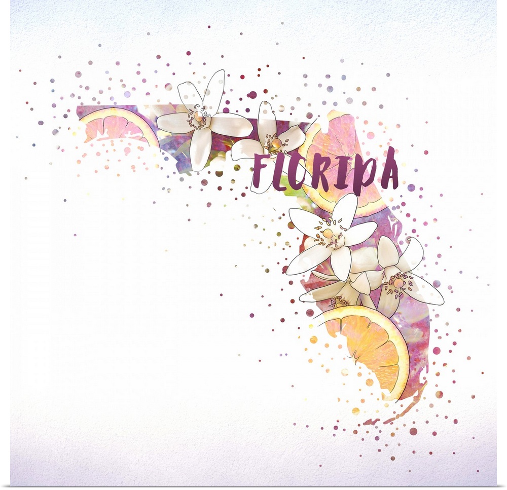 Outline of the state of Florida filled with its state flower, the Orange Blossom.