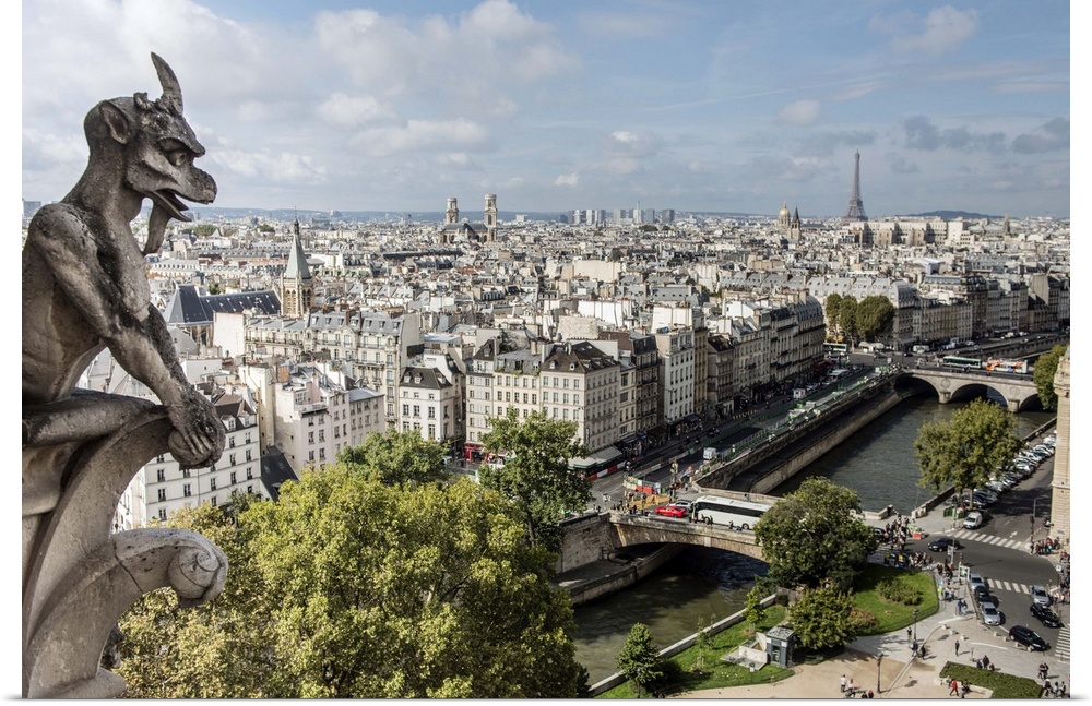Photograph of a gargoyle statue watching over the city of Paris.
