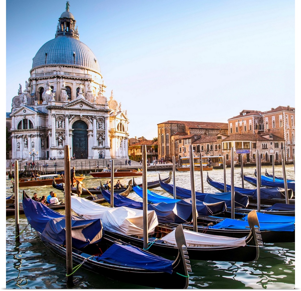 Square photograph of gondolas lined up in a row in front of Santa Maria della Salute, Venice, Italy, Europe