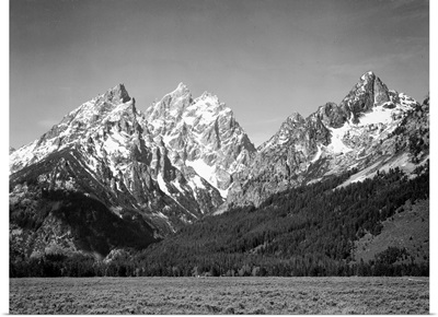 Grand Teton, Grassy Valley, Tree Covered Mountain Side And Snow Covered Peaks