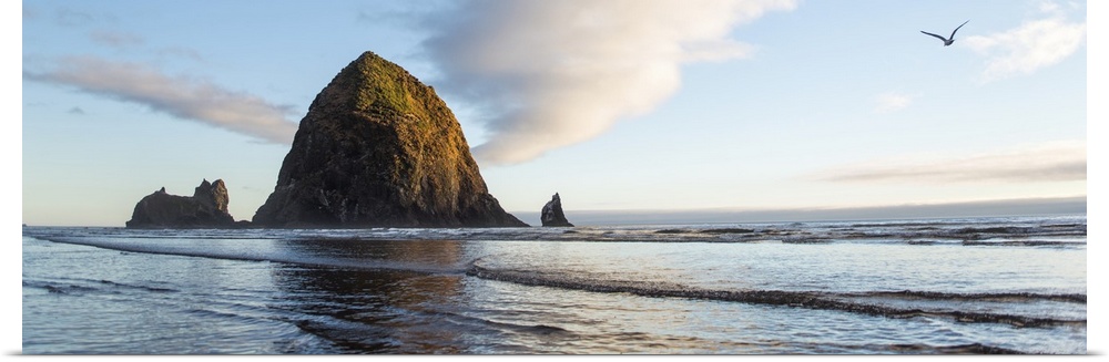 Panoramic photograph of Haystack Rock with a bird flying in the sky at Cannon Beach.