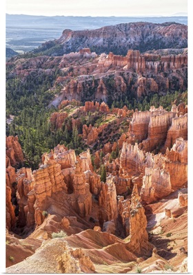 Hoodoos and forests in Bryce Canyon Amphitheater, Utah