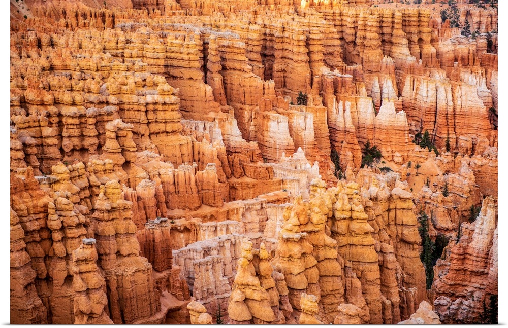 View of irregularly eroded spires of rocks. These rocks are also known as Hoodoos.